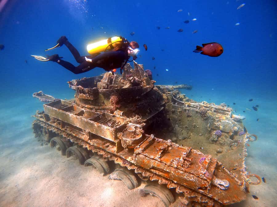 Aqaba: Private Red Sea Diving for Beginner or Experienced - The first 20 minutes: equipment, breathing, and calm instruction