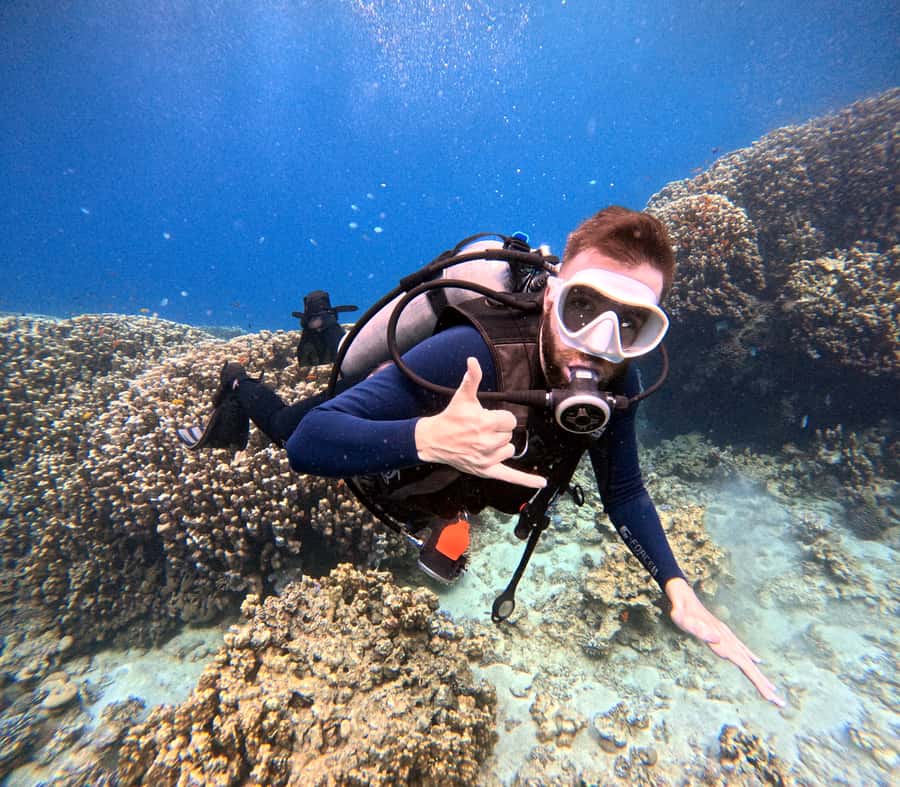 Aqaba: Private Red Sea Diving for Beginner or Experienced - Photos, videos, and the value of the $50 price