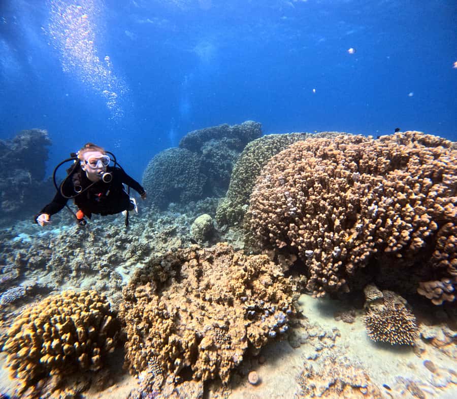 Aqaba: Private Red Sea Diving for Beginner or Experienced - Getting there, changing, and handling the beach setting