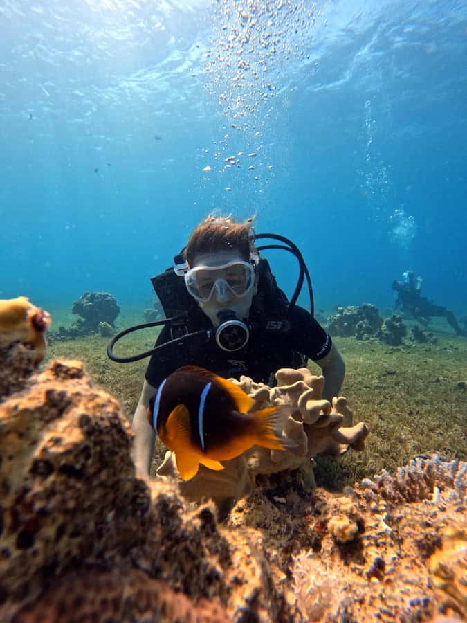 Aqaba: Private Red Sea Diving for Beginner or Experienced - What to know before you book