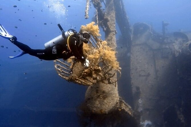 Aqaba Private Scuba Diving Activity with Pick Up - The Cedar Pride wreck at 26 meters