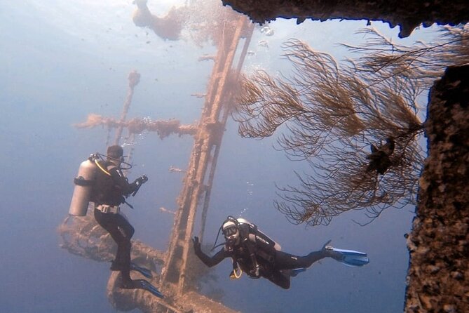 Aqaba Private Scuba Diving Activity with Pick Up - Starting at Hammerhead Dive Center on King Hussein Street