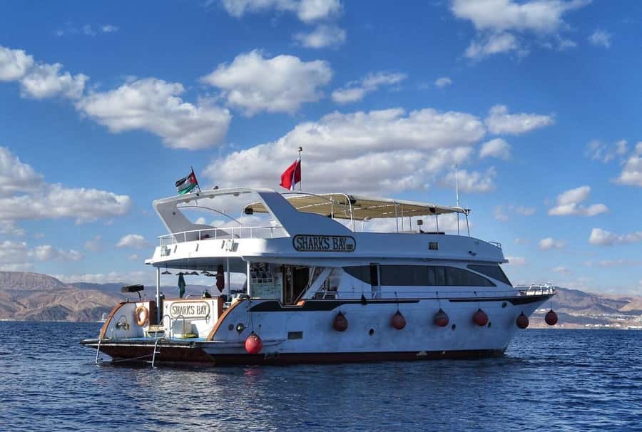 Aqaba: Red Sea Snorkeling Boat Trip with Buffet Lunch - What you may see beneath Aqaba’s clear water