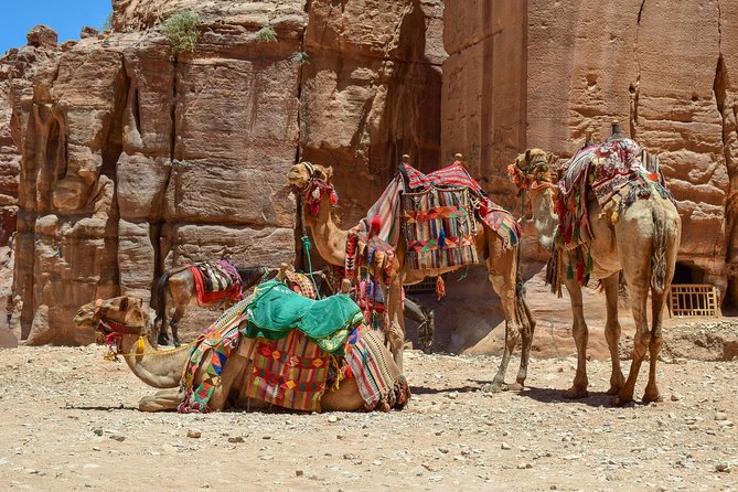 Aqaba Shore Excursion: Private Petra Sightseeing Tour with Lunch - Why this private Aqaba trip works well for Petra