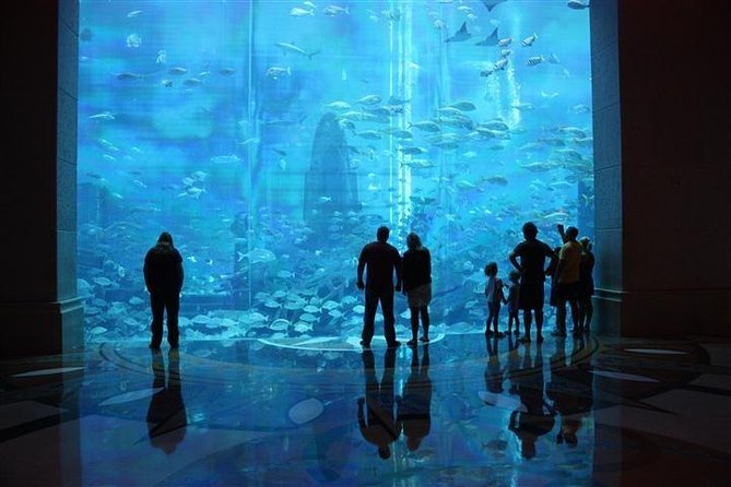 Atlantis Lost-Chamber Aquarium Dubai - How to plan your time inside