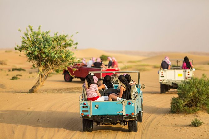 Authentic Safari in Vintage Land Rover with Traditional Dinner - A Gentle Hour in a 1950s Land Rover