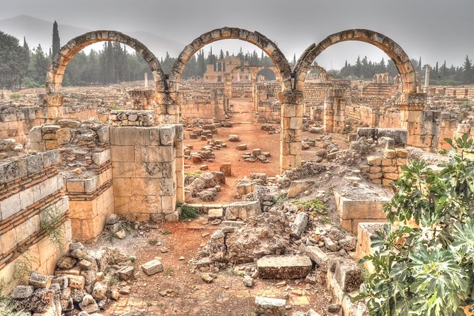 Baalbek - Anjar - Ksara Trip From Beirut - What the drivers add to the day