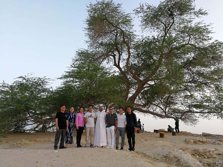 Bahrain in a Day from City Lights to Desert Landscapes - Quick points to know before booking