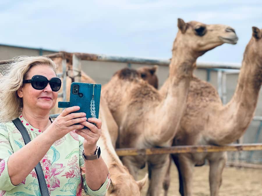 Bahrain in a Day from City Lights to Desert Landscapes - From Manama towers to open desert