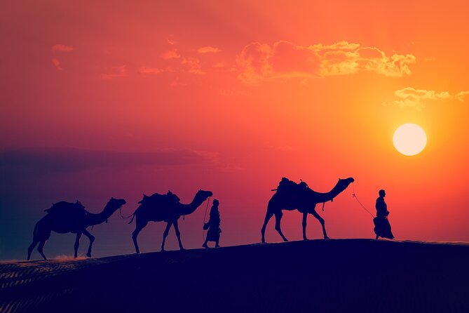 Best of Wadi Rum | Full day Jeep tour + Sleep under the stars | Pack all-in - Khazali Canyon and the feel of the rock