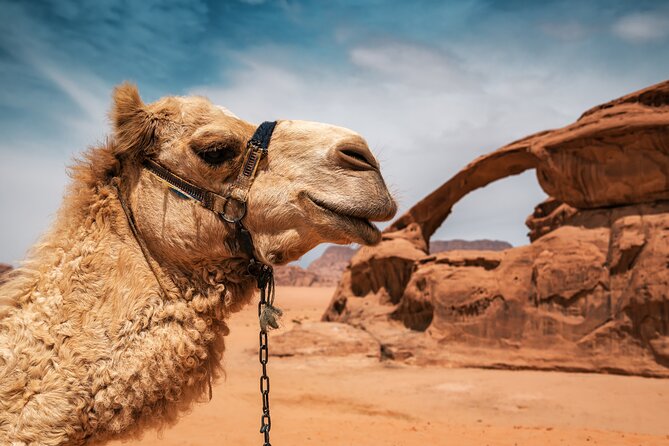 Best of Wadi Rum | Full day Jeep tour + Sleep under the stars | Pack all-in - What the included meals mean in practice