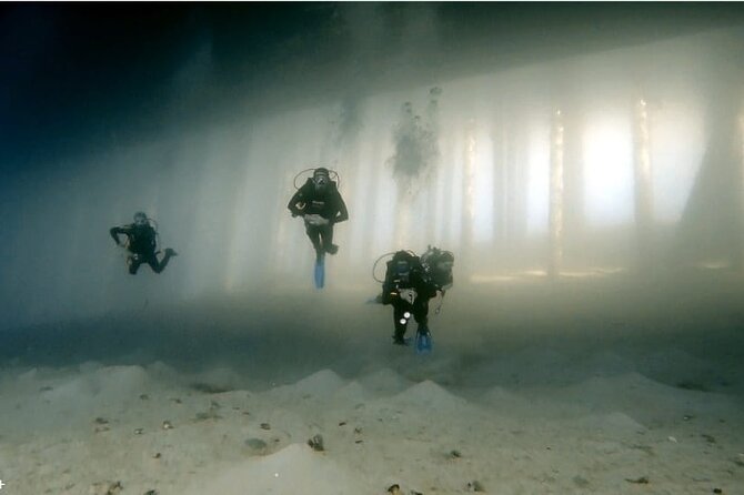 Boat Dive 2 Guided Dives with Lunch Included wreck dive&reef dive - What the six-hour schedule feels like