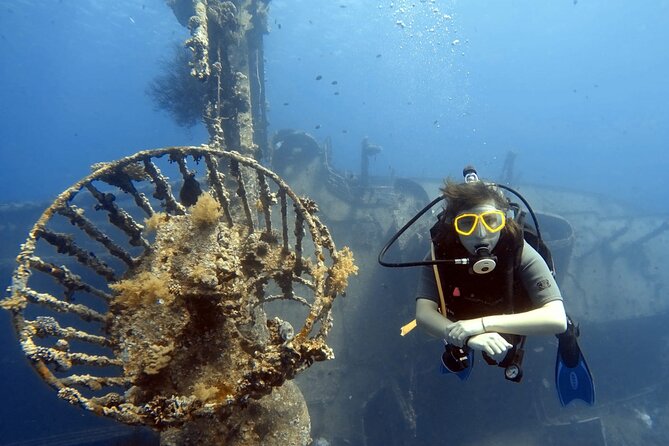 Boat Dive 2 Guided Dives with Lunch Included wreck dive&reef dive - The wreck stop: more structure, more questions