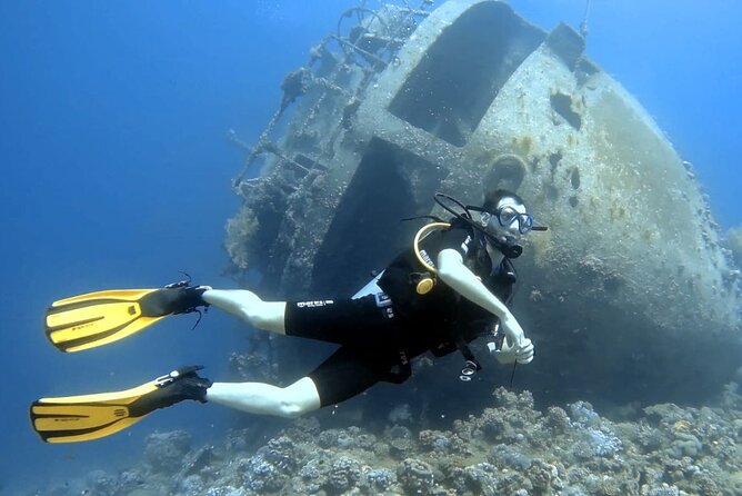 Boat Dive 2 Guided Dives with Lunch Included wreck dive&reef dive - Lunch and time between the sites