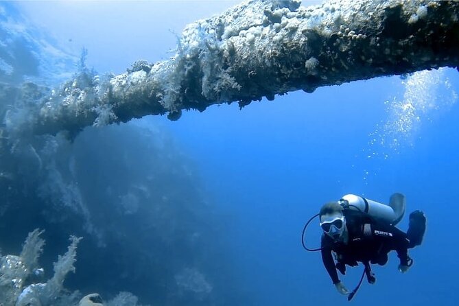 Boat Dive 2 Guided Dives with Lunch Included wreck dive&reef dive - The reef stop: an easy start for new scuba users