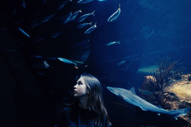Burj Khalifa and Dubai Aquarium Combo Entrance Ticket - Two famous attractions, one compact Dubai outing