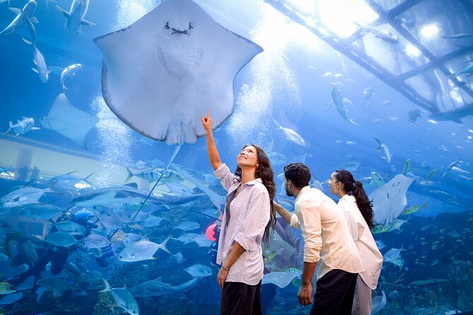 Burj Khalifa At the Top & Dubai Aquarium Combo Entrance Tickets - Walking into Dubai Aquarium