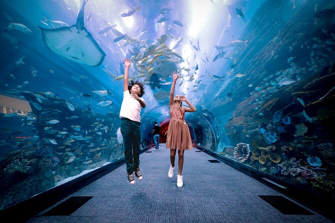 Burj Khalifa At the Top & Dubai Aquarium Combo Entrance Tickets - My verdict on the Burj Khalifa and aquarium combo