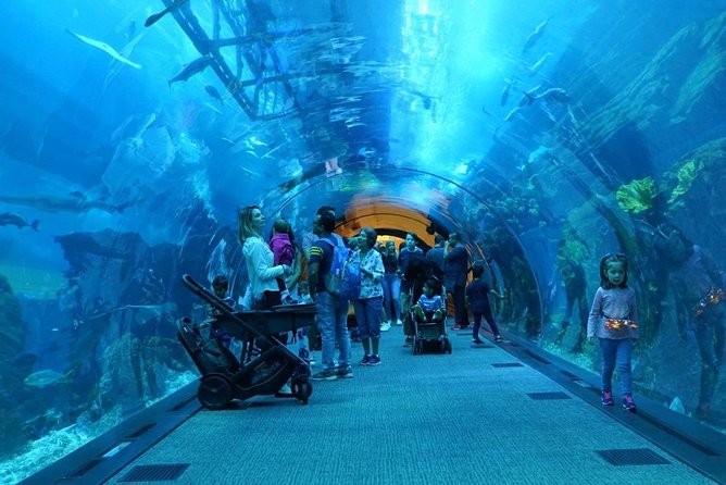 Burj Khalifa, Dubai Aquarium & UWZ with Penguin Cove Entry Ticket - Getting there and managing the schedule