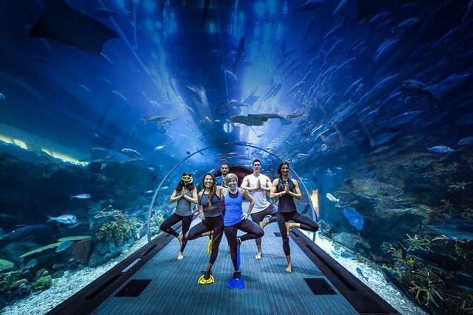 Burj Khalifa, Dubai Aquarium & UWZ with Penguin Cove Tickets - Two Dubai icons in one mall visit