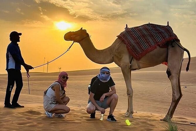 Camel Safari in Desert with Pickup and Drop off in Doha - The guides shape the experience