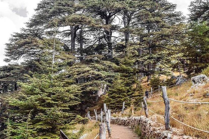 Cedars of Lebanon, Qozhaya, & Bcharre - With Lunch (4G on Board) - From Beirut to Lebanon’s northern mountains
