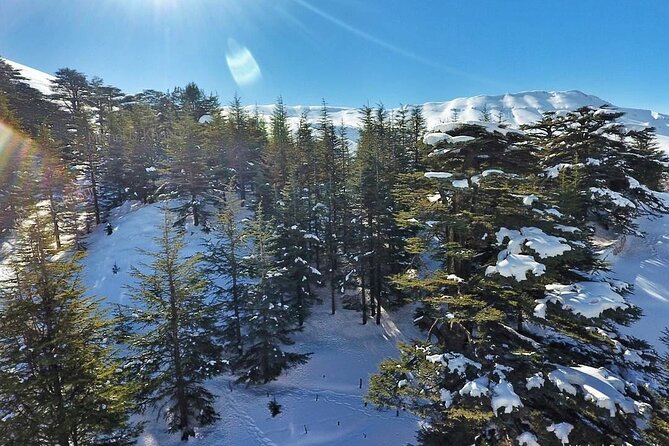 Cedars of Lebanon, Qozhaya, & Bcharre - With Lunch (4G on Board) - Lebanese lunch in the mountains