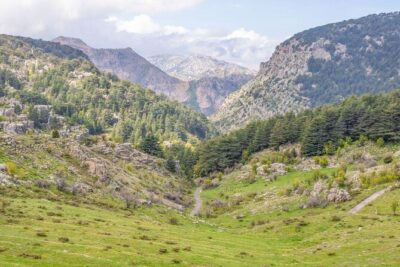 Cedars of Lebanon, Qozhaya, & Bcharre – With Lunch (4G on Board)