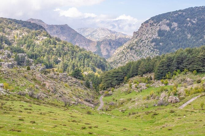 Cedars of Lebanon, Qozhaya, & Bcharre - With Lunch (4G on Board) - Qadisha Valley, the Holy Valley