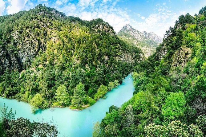 Chouwen Lake Hiking & Swimming - Walking beneath oak and pine trees