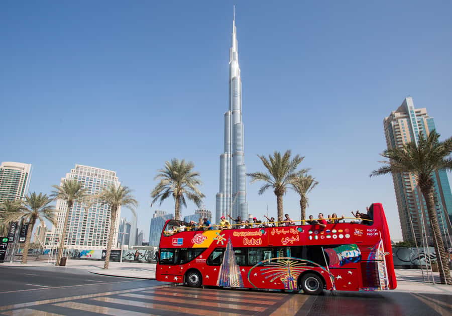 City Sightseeing Dubai HOHO Bus Tour, Aquaventure & More - Key points at a glance