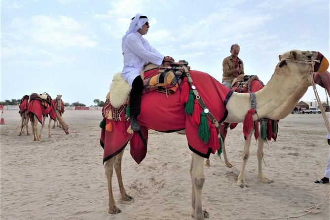 Combo Culture & Adventure: North Qatar Heritage & Desert Safari - Al Khor’s harbor, corniche, and modern contrast