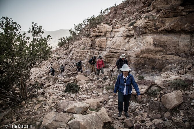 Dana to Petra Trek + Wadi Rum & the Dead Sea - 9 Days - Days 3 and 4: The hardest walking