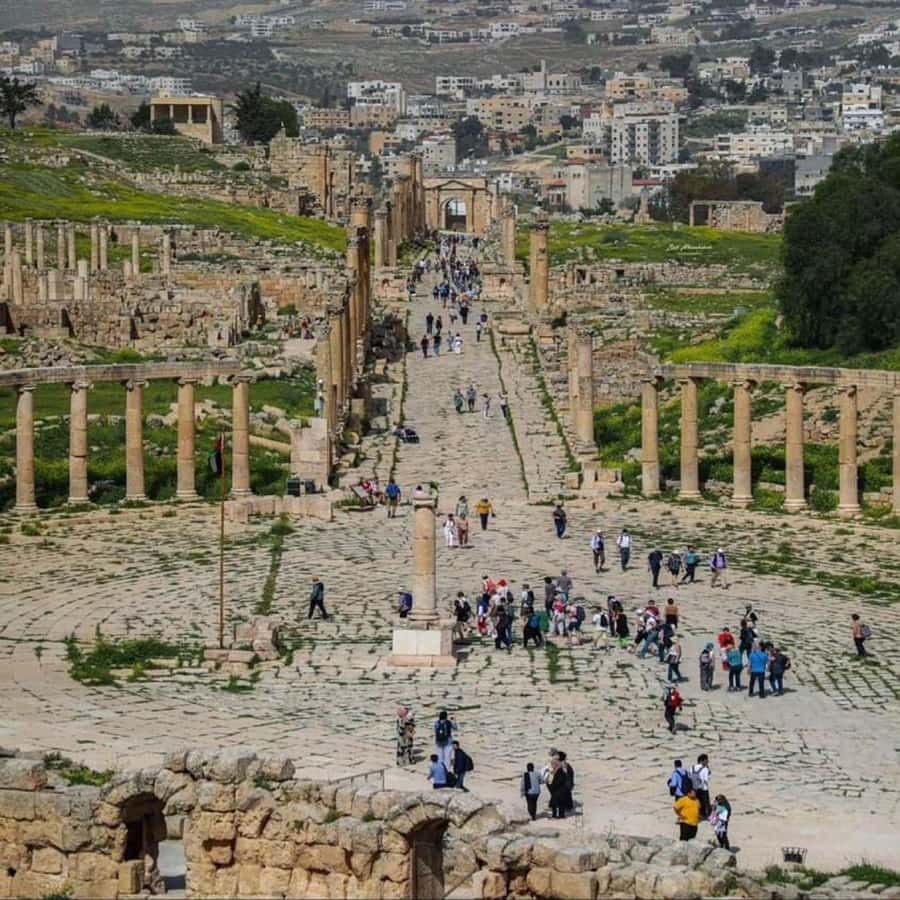 Day Tour Jerash - Ajloun and Um Qais From Amman - Ajloun Castle: a smaller site with a different story