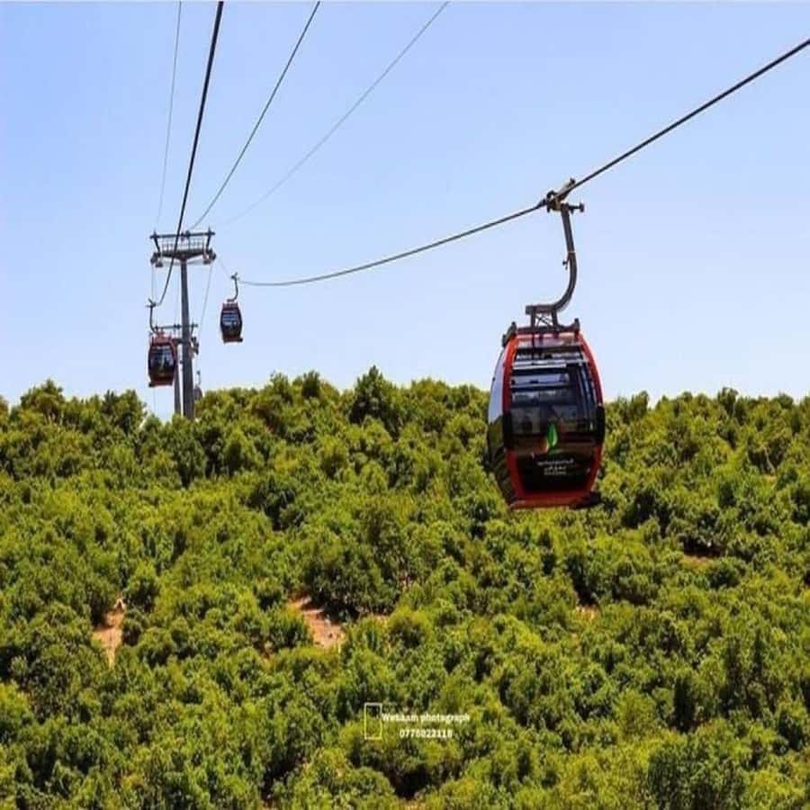 Day Tour Jerash - Ajloun and Um Qais From Amman - The car, driver, and small comforts