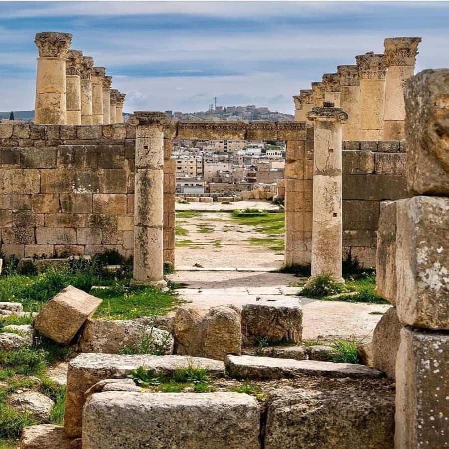 Day Tour Jerash - Ajloun and Um Qais From Amman - Price and what you still need to pay