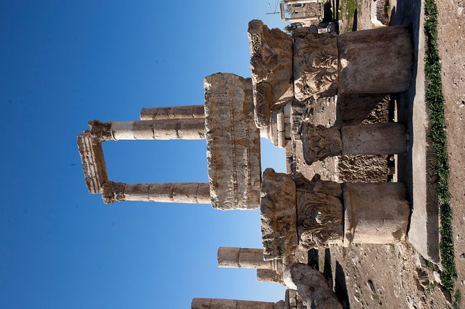 Day Tour to Jerash, Ajloun Castle and Dead Sea - The private car and driver experience