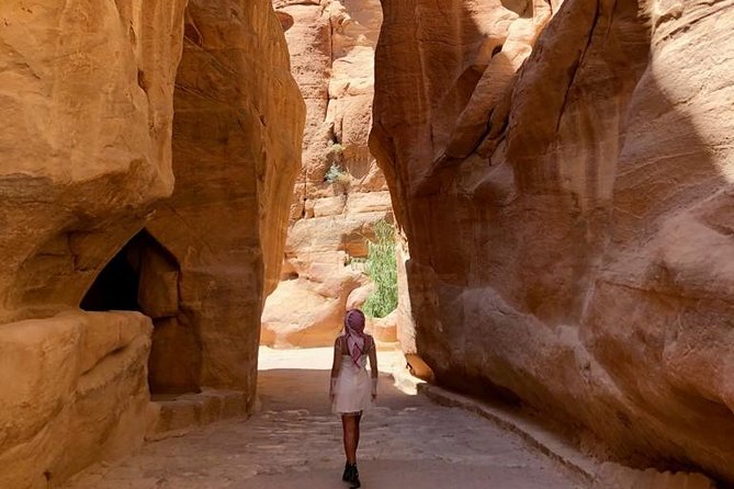 Day Tour to Petra from Amman - From the Street of Facades to the Royal Tombs