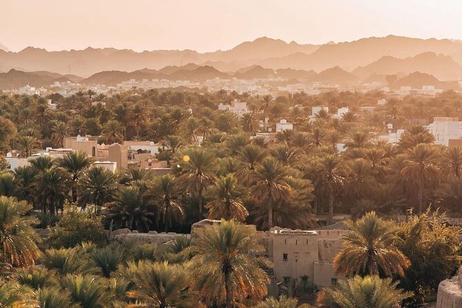 Day Tour to the Enchanting Forts of Nizwa - Is $218.52 a fair price?