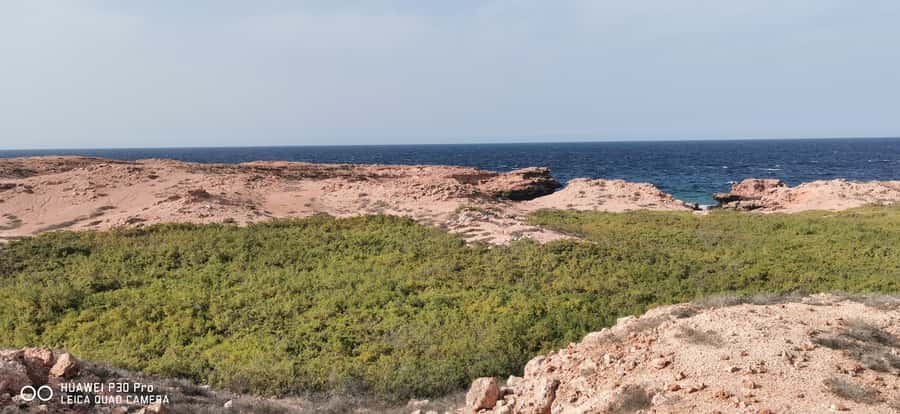 Daymaniyat Island: Snorkelling Tour with Tasty Lunch - Who should book this Daymaniyat trip