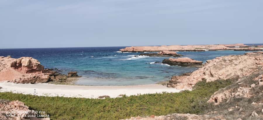 Daymaniyat Island: Snorkelling Tour with Tasty Lunch - Should you book it?