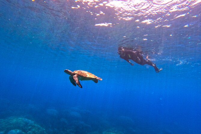 Daymaniyat Islands Snorkeling Sharing Trip - Island views, kayaks, and seasonal beach time
