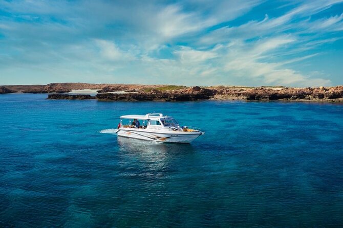 Daymaniyat Islands Snorkeling Sharing Trip - What the captain and crew add
