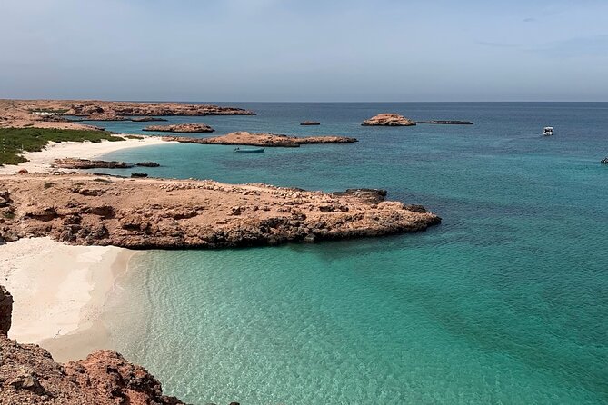 Daymaniyat Islands Snorkeling Sharing Trip - Is $106 good value?