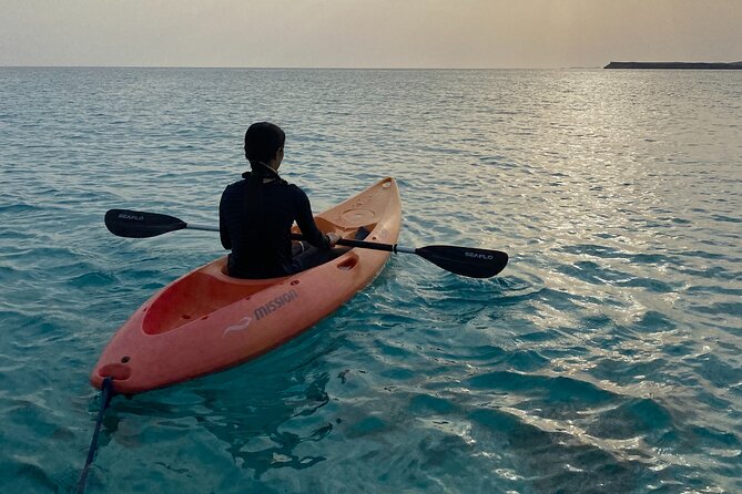 Daymaniyat Islands Snorkeling Sharing Trip - Two long snorkeling sessions, sometimes three