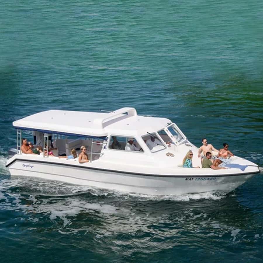 Daymaniyat Islands Snorkeling with Picnic Lunch - From Al Mouj Marina to open Gulf waters