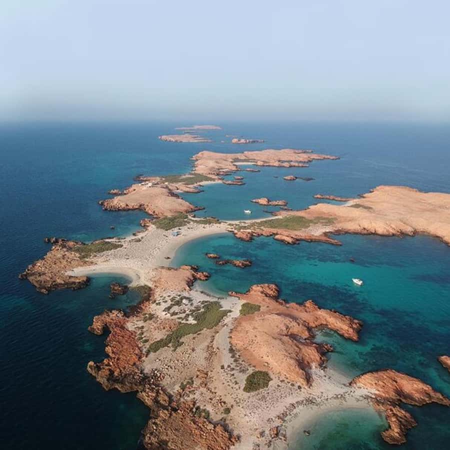 Daymaniyat Islands Snorkeling with Picnic Lunch - Picnic lunch on the island