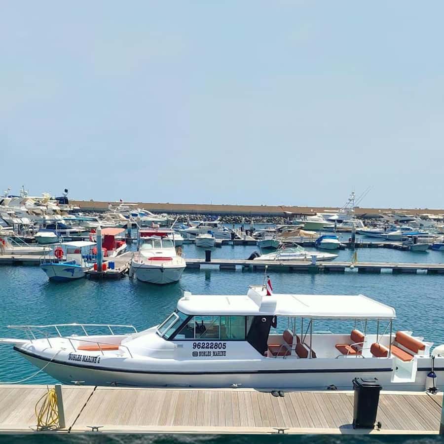 Daymaniyat Islands Snorkeling with Picnic Lunch - What to bring and what to ask