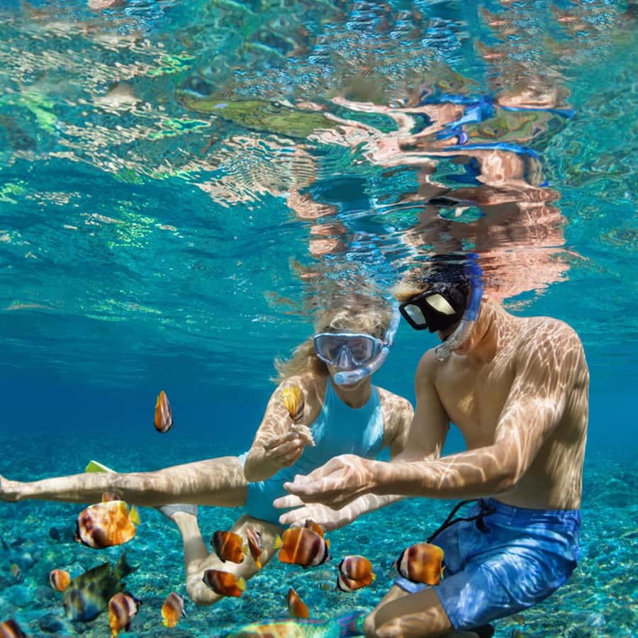 Daymaniyat Islands Snorkeling with Picnic Lunch - Who should book this Daymaniyat trip?