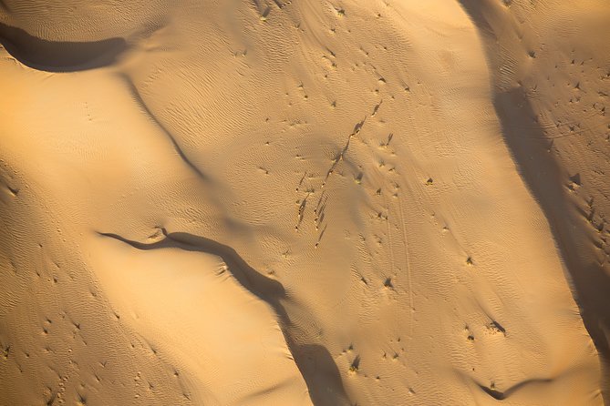 Deluxe Hot Air Balloon Ride with Breakfast & Flight Falcon Show - A 45 to 60 minute flight above the dunes